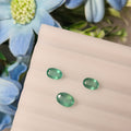 Emerald | EM 241 | 1.46 Carat