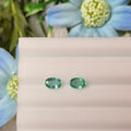 Emerald | EM 255 | 0.9 Carat
