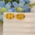 Citrine  | Citrine 153 | 11.31 Carat