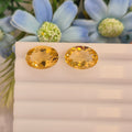 Citrine  | Citrine 150 | 9.8 Carat