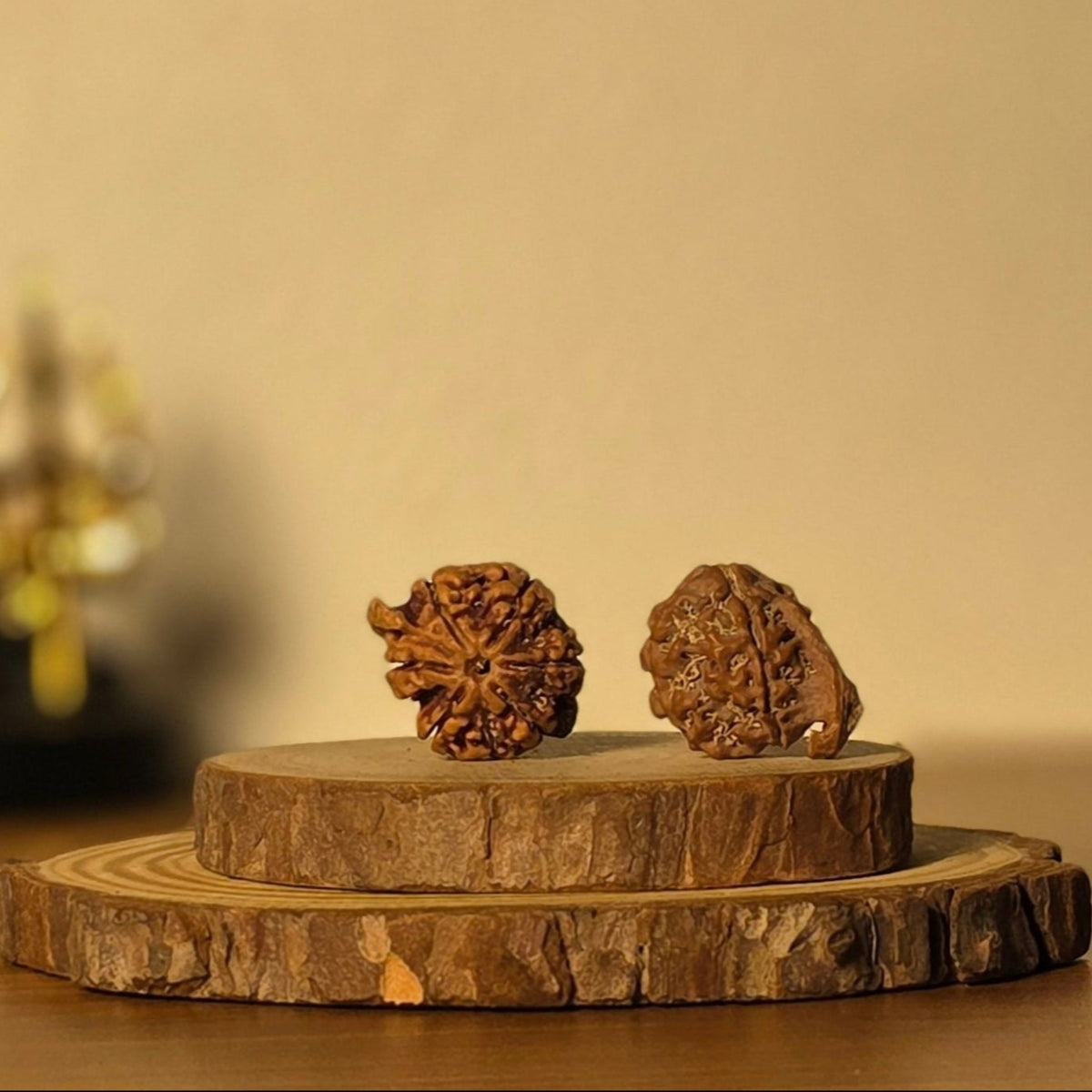 Natural Ganesh Rudraksha | Nepal | Certified