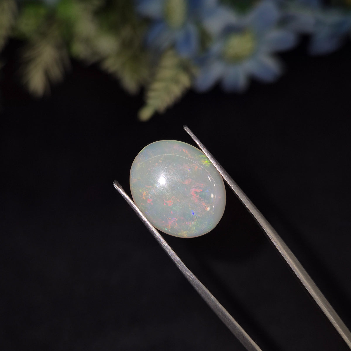 Opal | OPAL 223 | 7.56 Carat