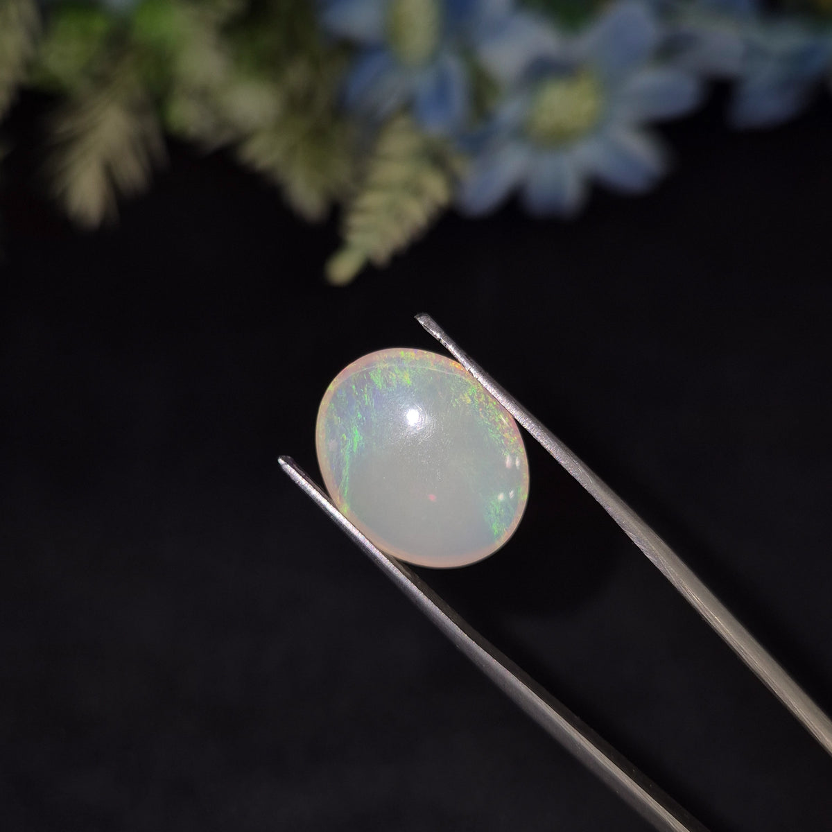 Opal | OPAL 233 | 5.07 Carat