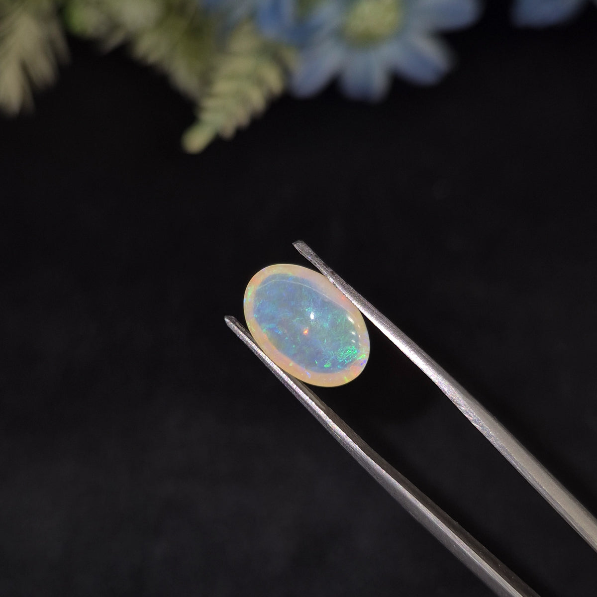 Opal | OPAL 226 | 4.29 Carat