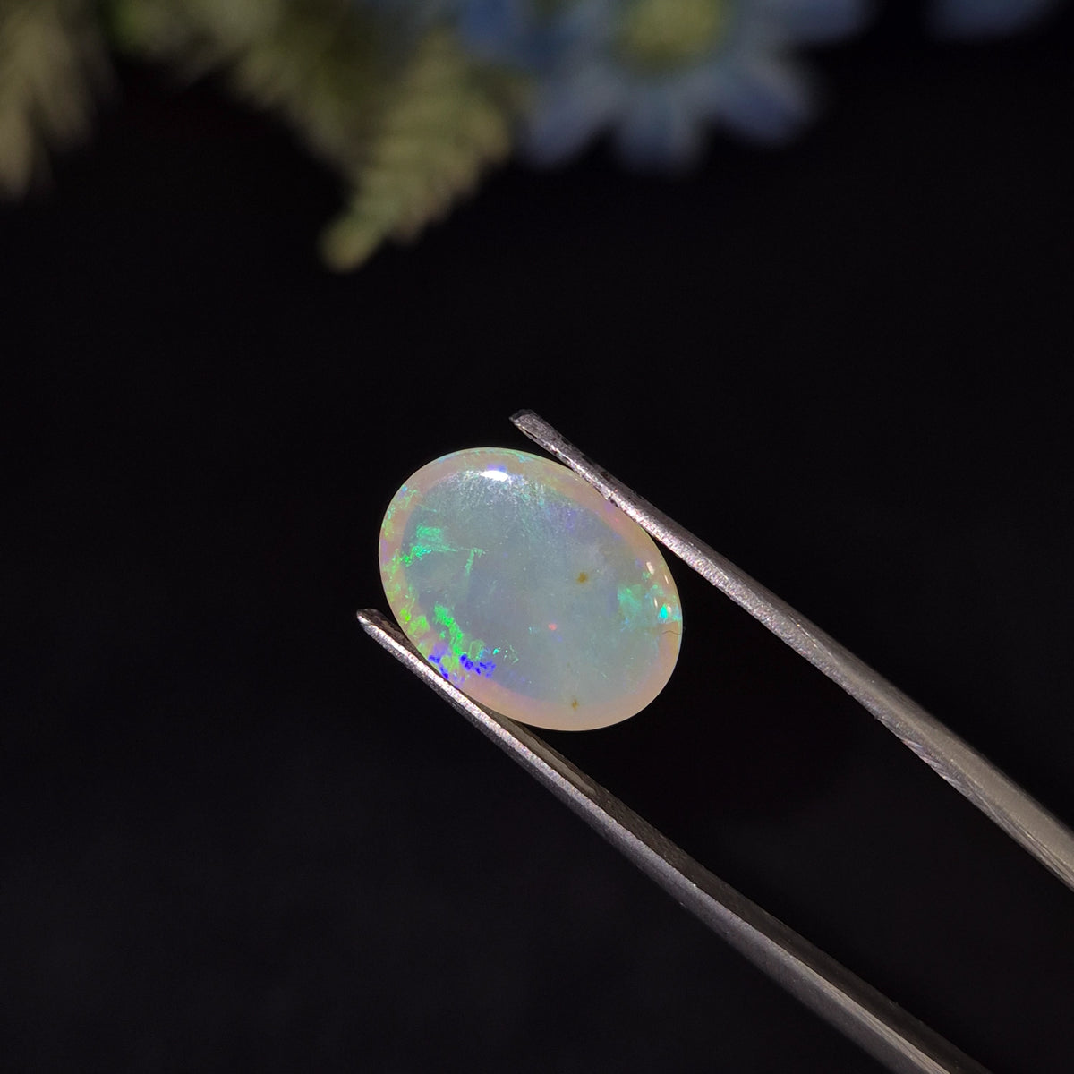 Opal | OPAL 224 | 4.28 Carat