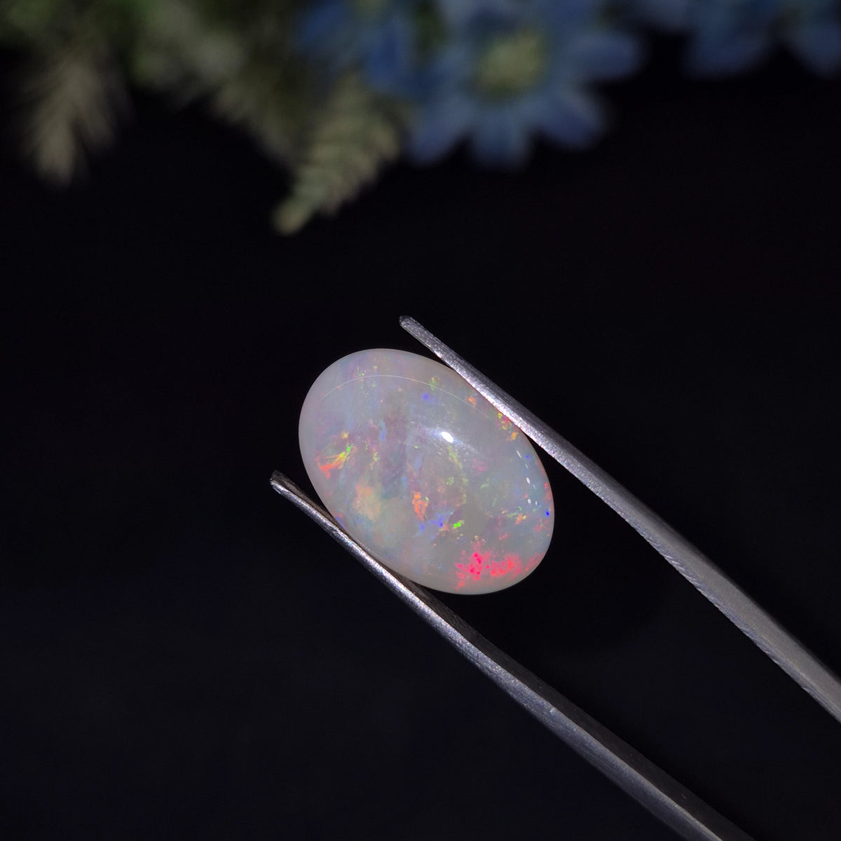 Opal | OPAL 236 | 6.6 Carat