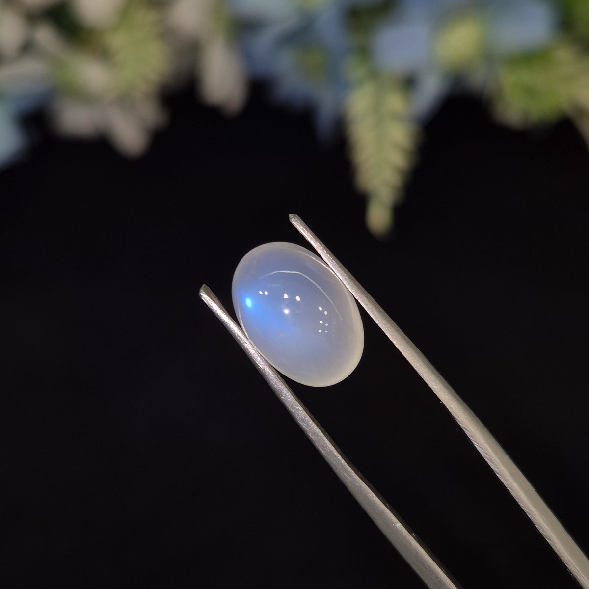 Natural Blue Moonstone (Chandramani) | BMS 11 | 5.56 Carat | Certified