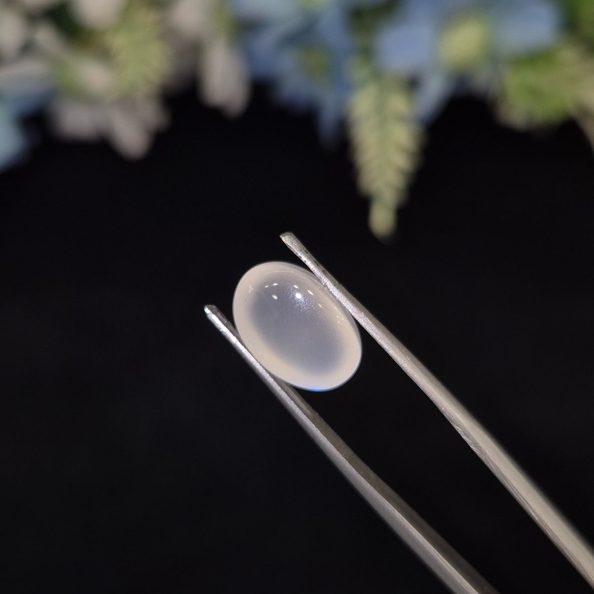 Natural Blue Moonstone (Chandramani) | BMS 11 | 5.56 Carat | Certified