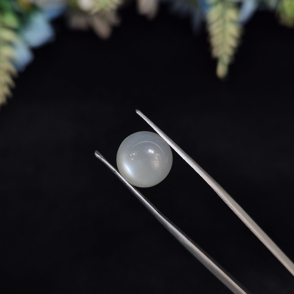 Natural Moonstone (Chandramani) | Moonstone 25 | 4.76 Carat | Certified