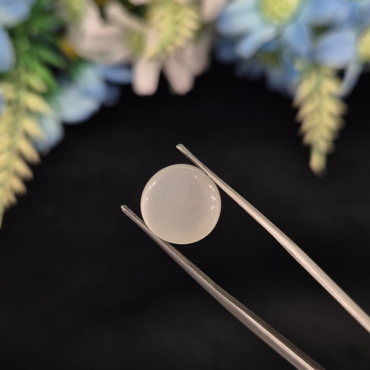 Natural Moonstone (Chandramani) | Moonstone 24 | 5.67 Carat | Certified