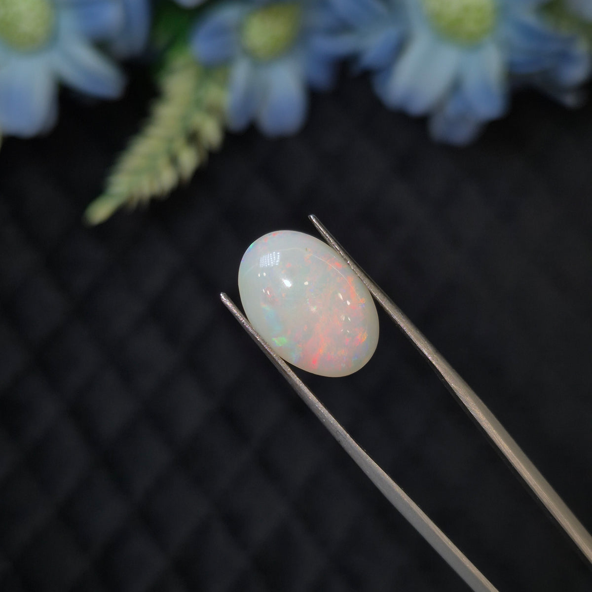 Opal | OPAL 275 | 3.78 Carat