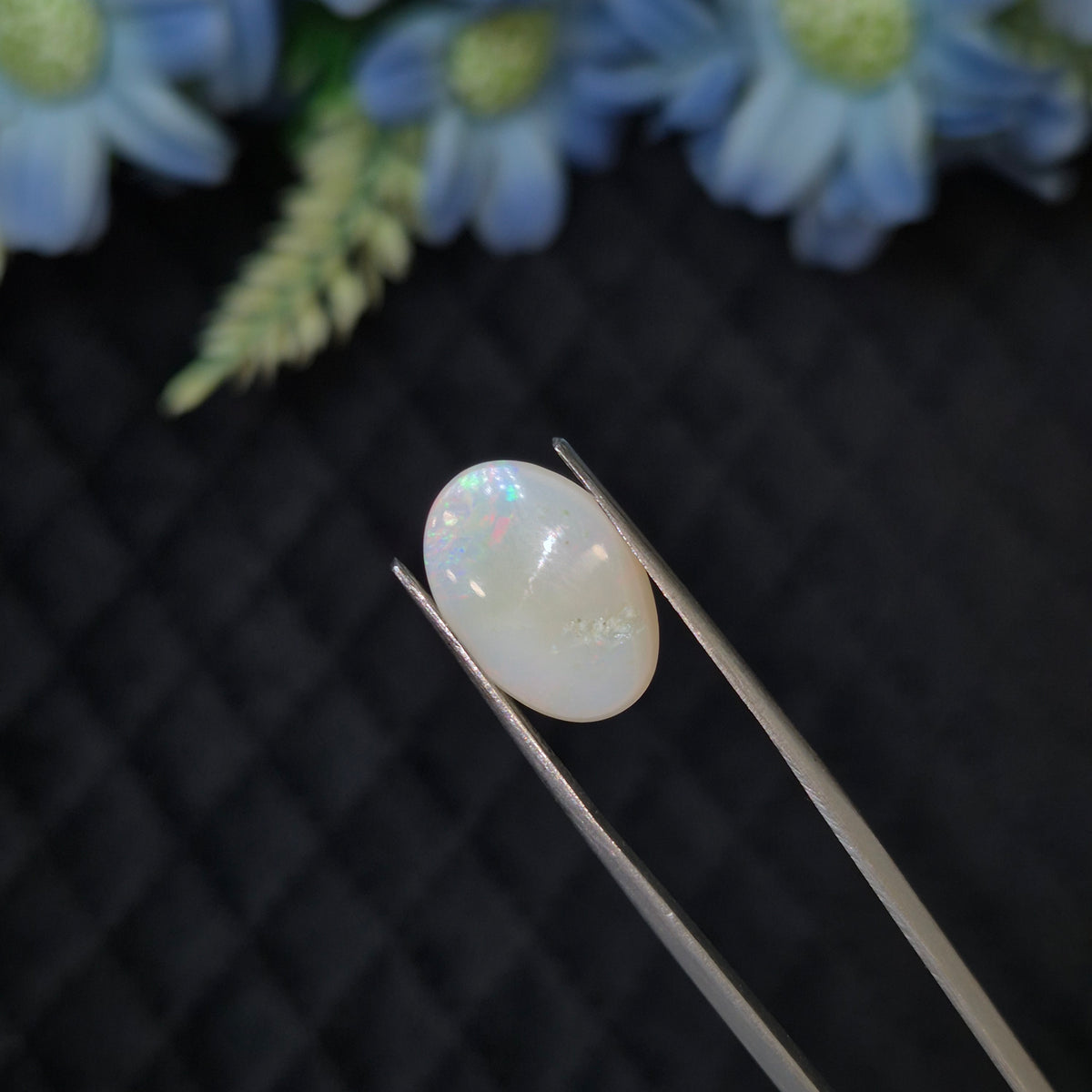 Opal | OPAL 275 | 3.78 Carat