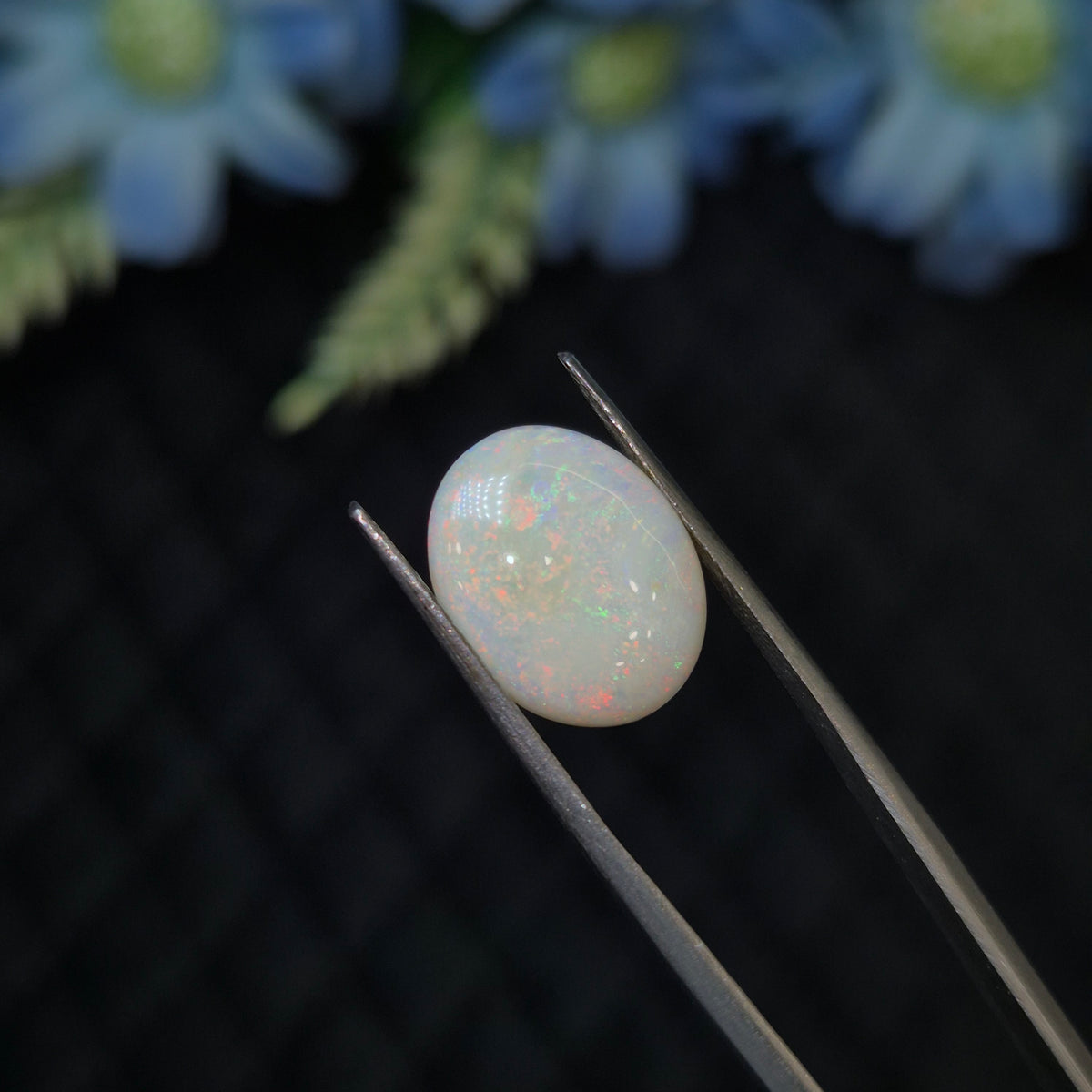 Opal | OPAL 276 | 3.22 Carat