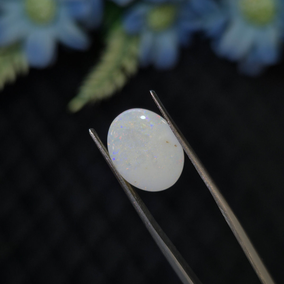 Opal | OPAL 276 | 3.22 Carat