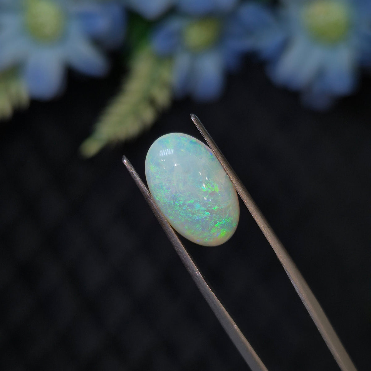 Opal | OPAL 277 | 3.10 Carat
