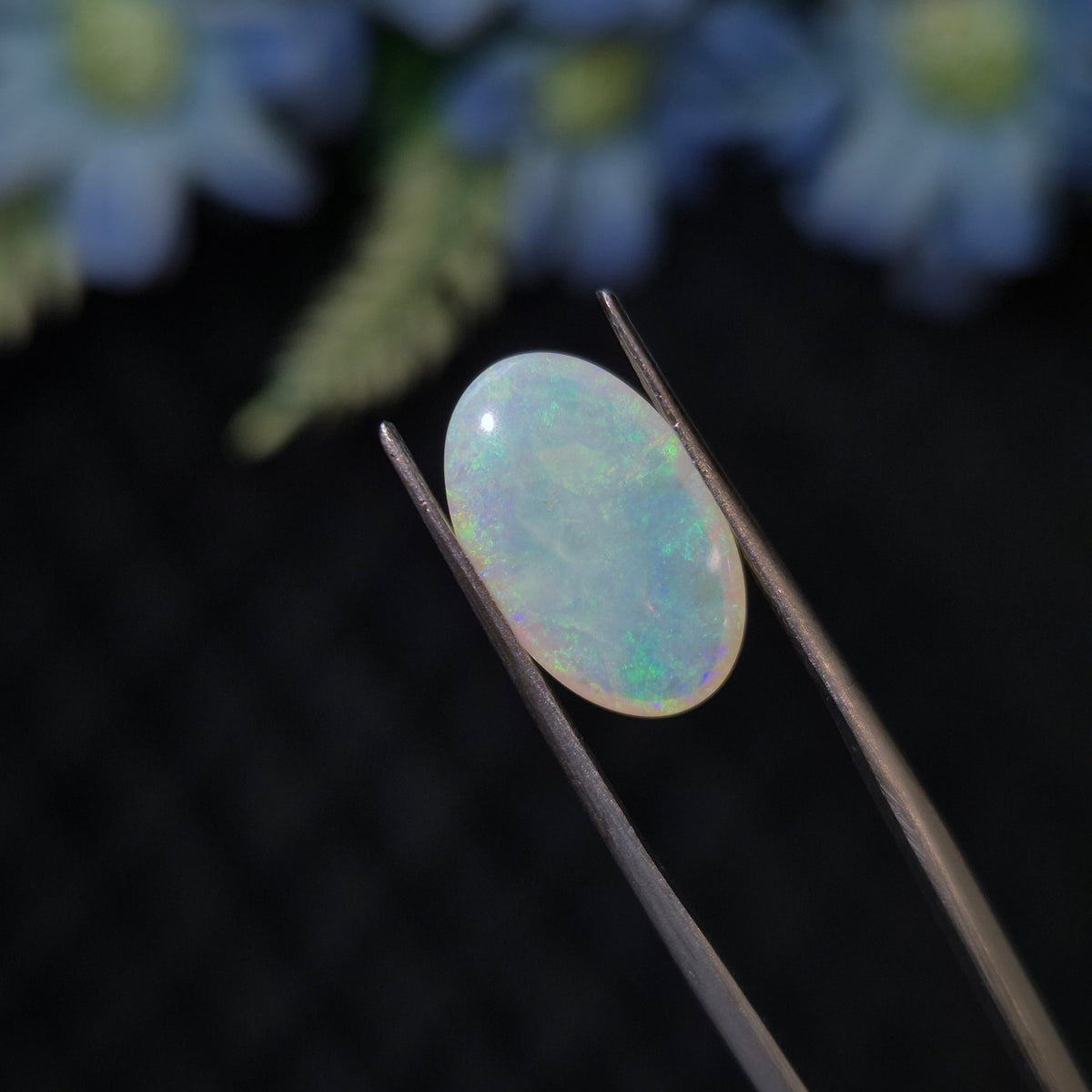 Opal | OPAL 277 | 3.10 Carat