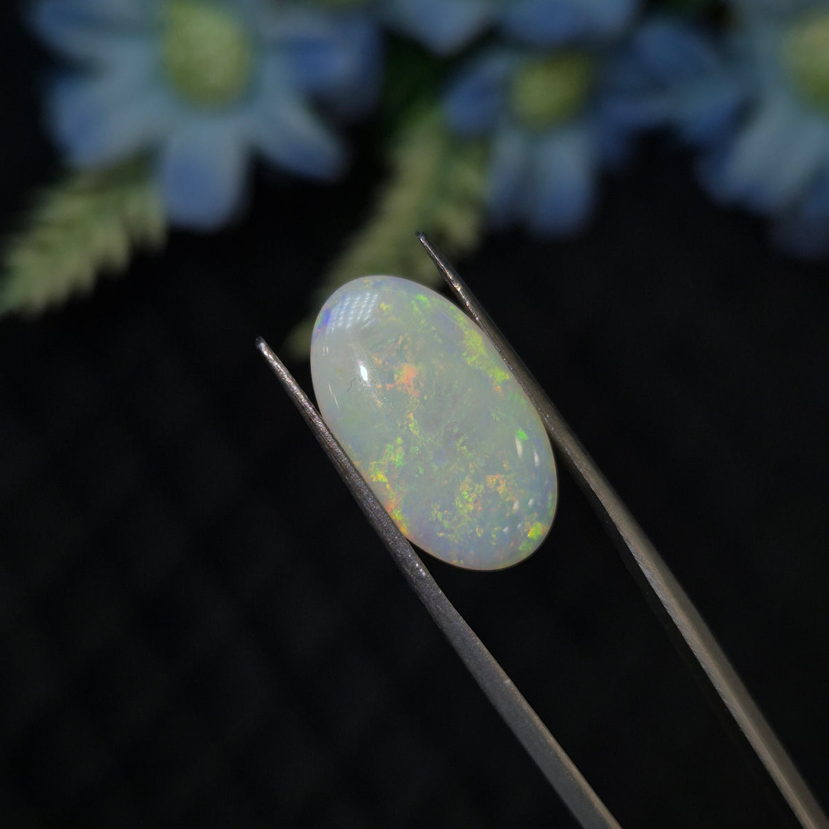 Opal | OPAL 278 | 3.84 Carat