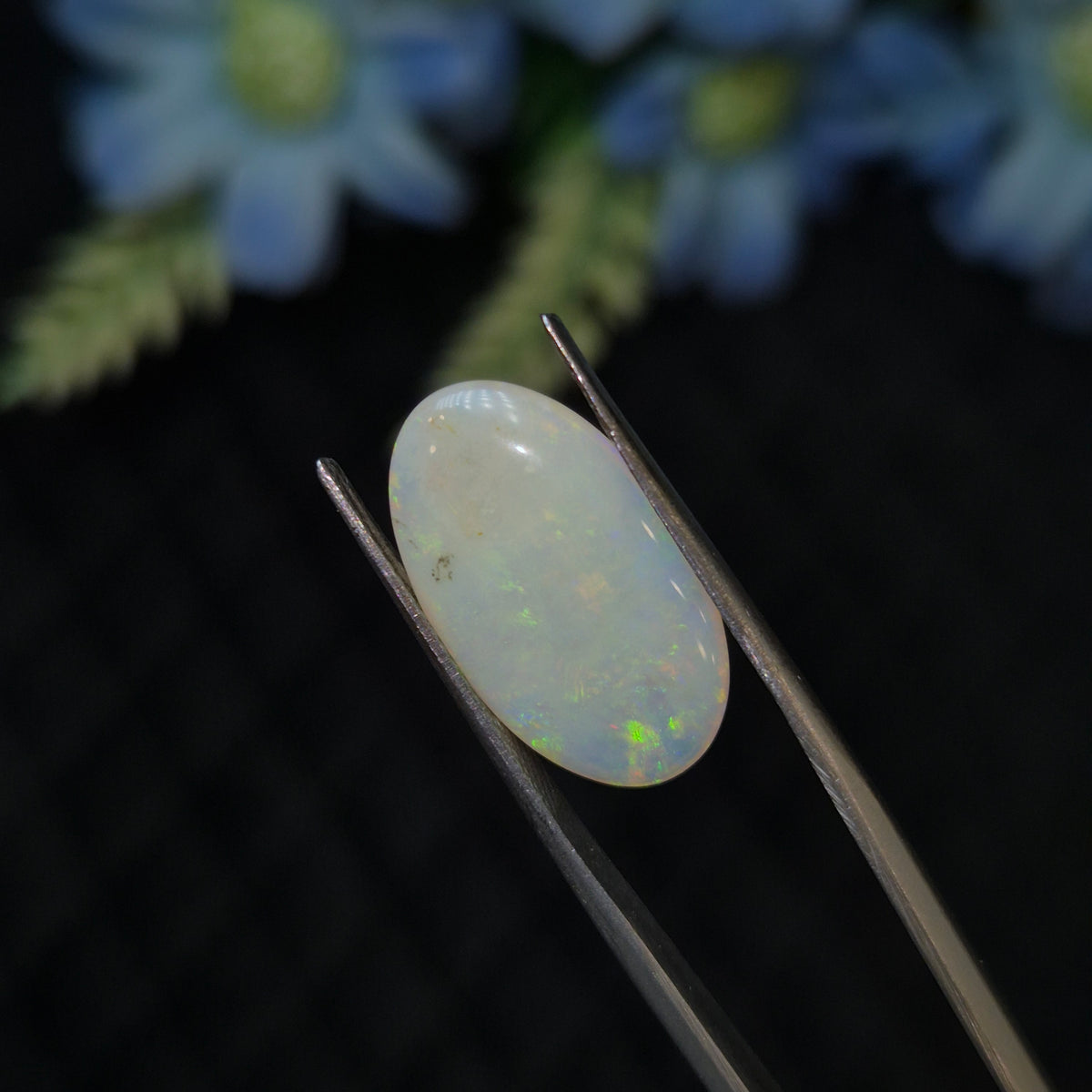 Opal | OPAL 278 | 3.84 Carat