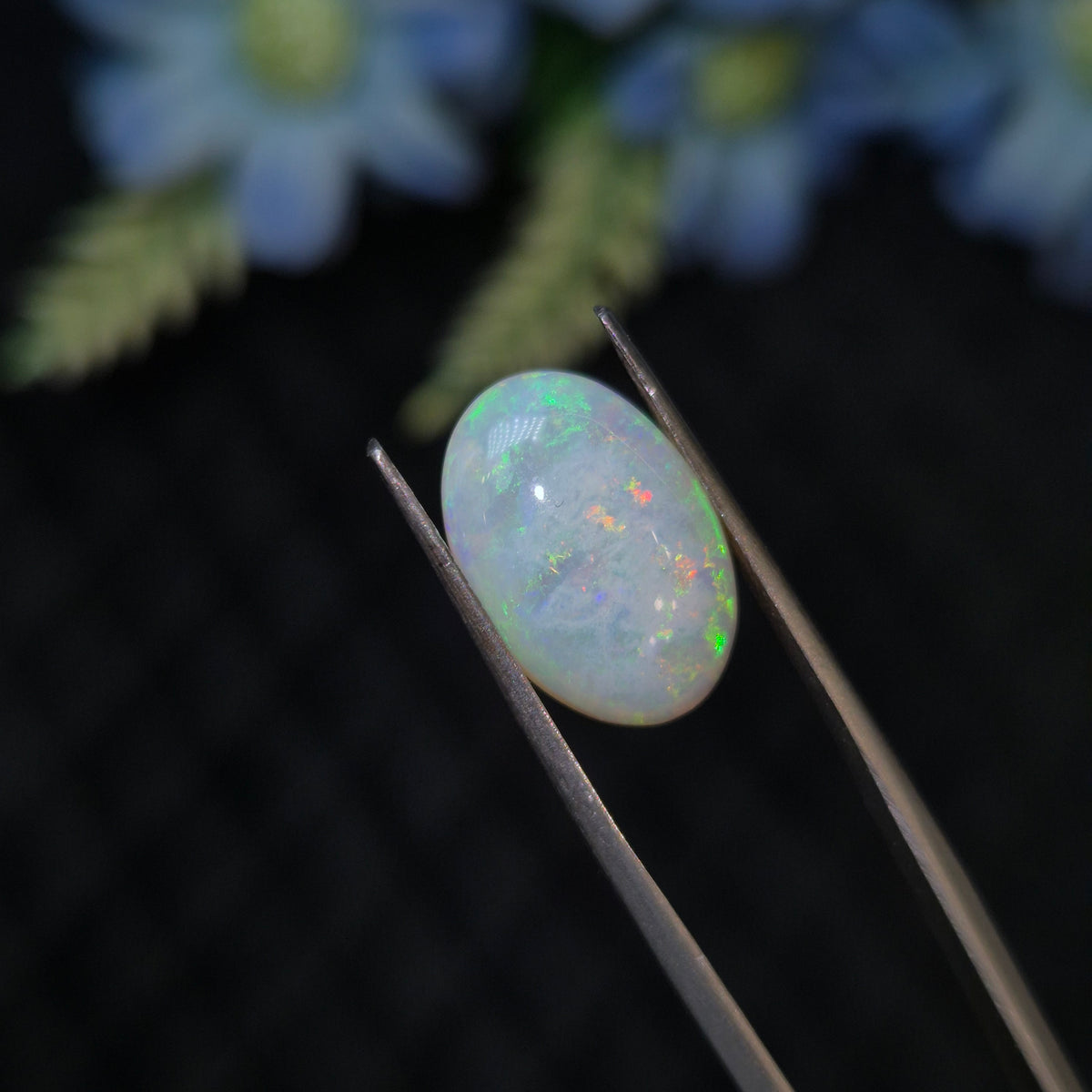 Opal | OPAL 273 | 3.93 Carat