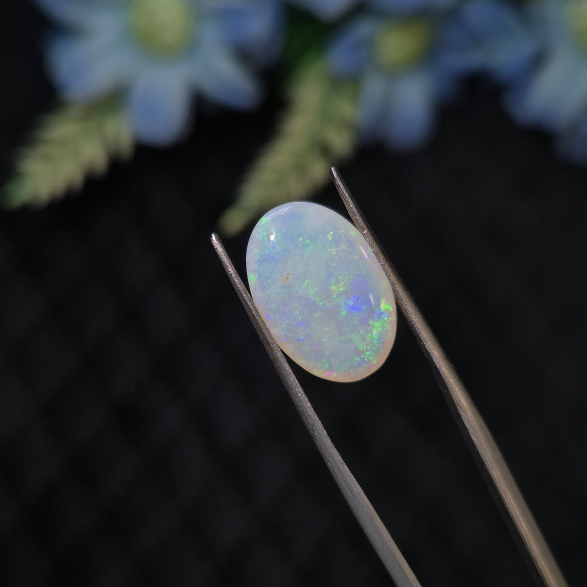 Opal | OPAL 273 | 3.93 Carat