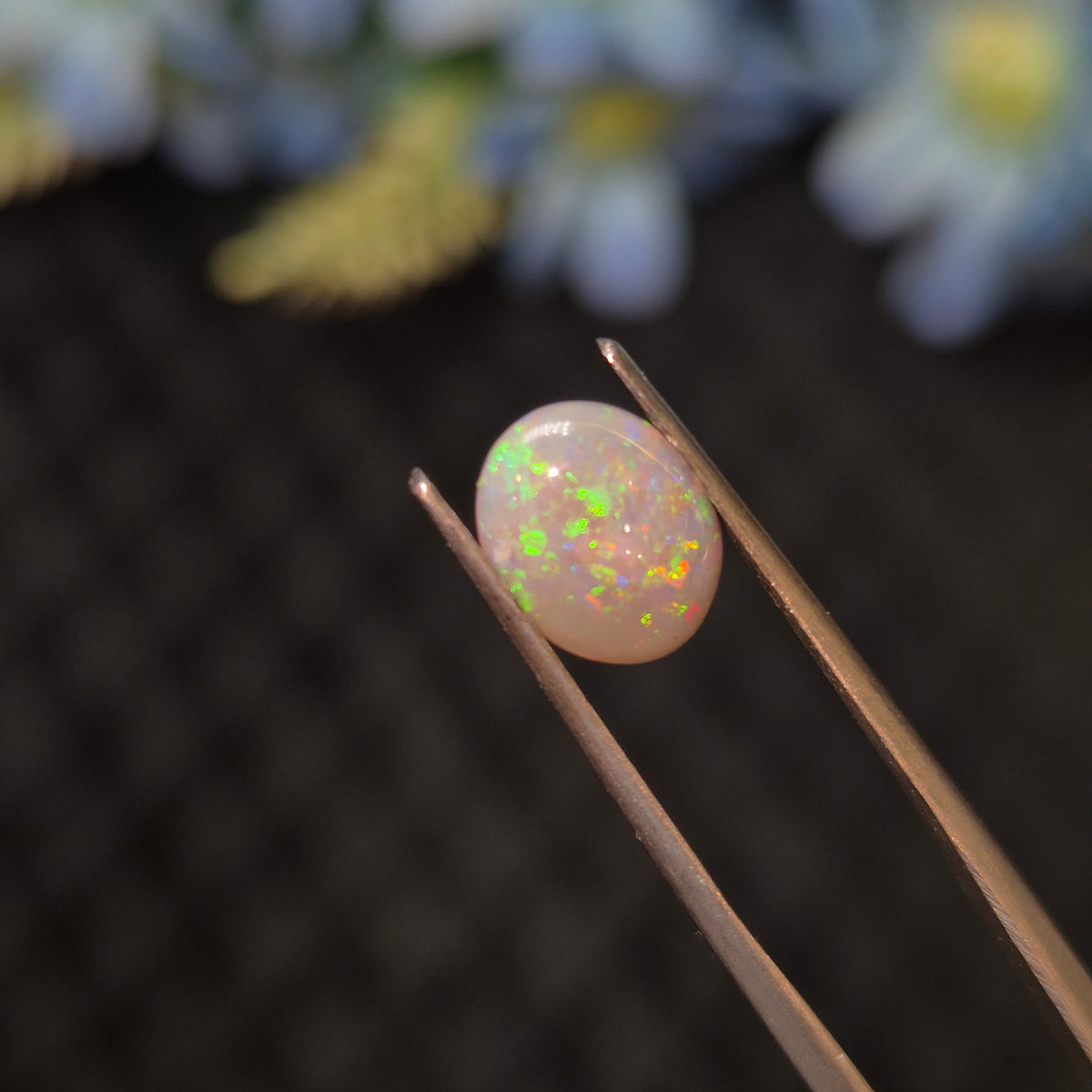 Opal | OPAL 279 | 0.98 Carat