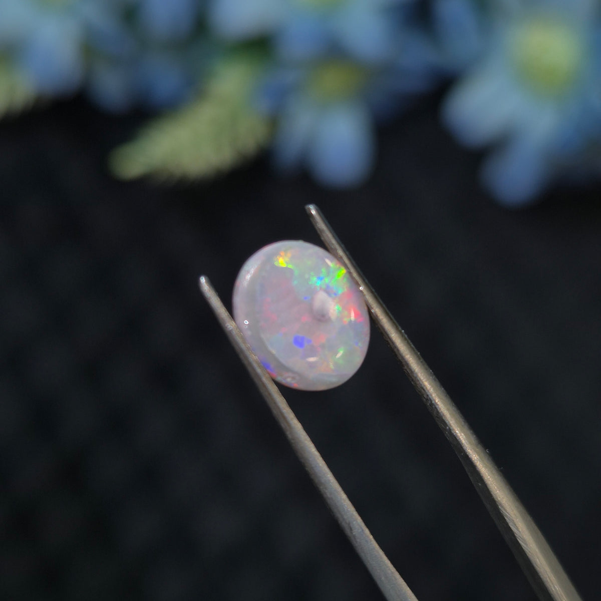 Opal | OPAL 279 | 0.98 Carat