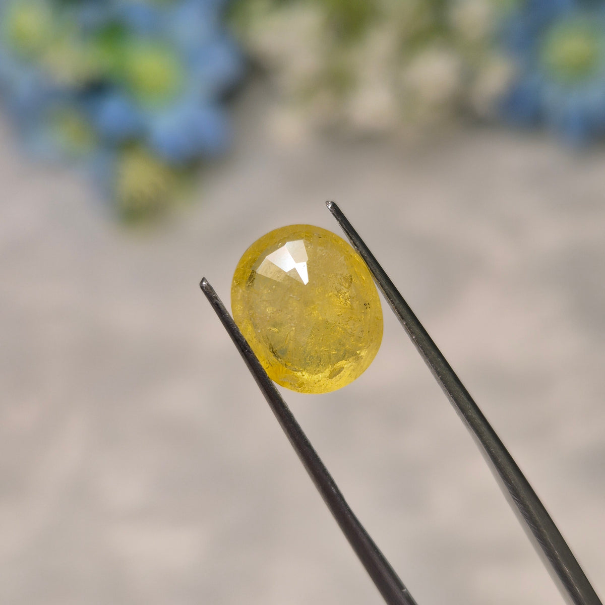 Yellow Sapphire | YS 320 | 4.82 Carat