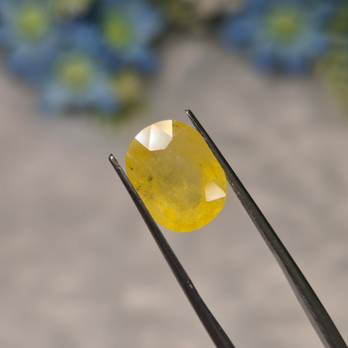 Yellow Sapphire | YS 319 | 5.63 Carat