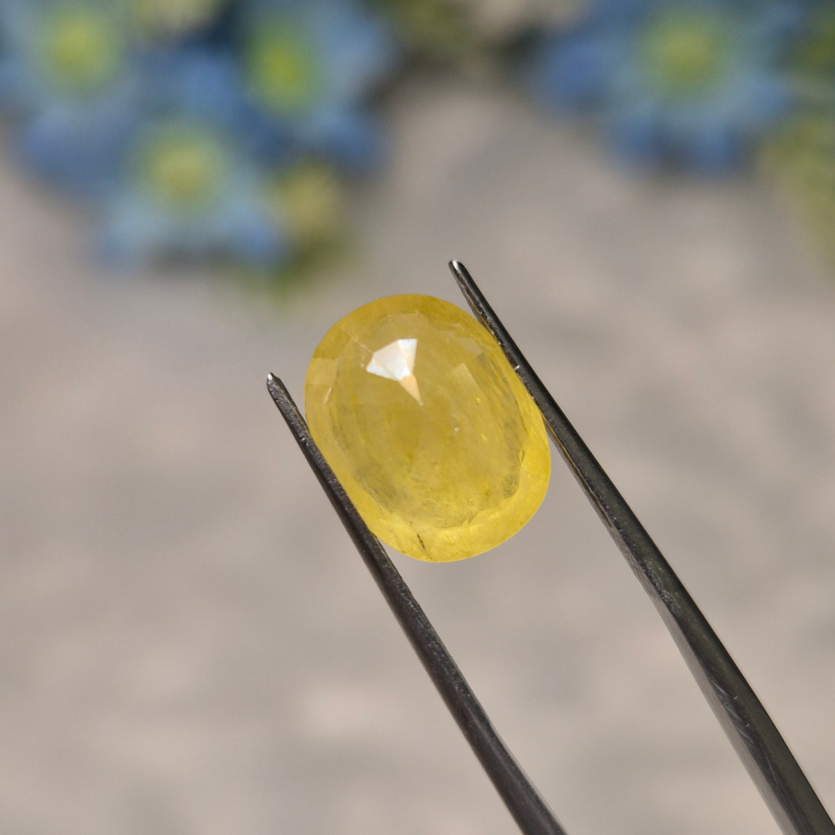 Yellow Sapphire | YS 319 | 5.63 Carat