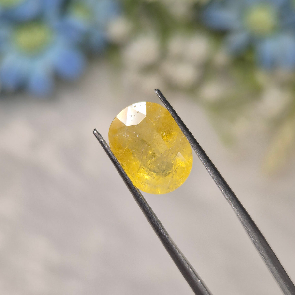 Yellow Sapphire | YS 322 | 5.49 Carat