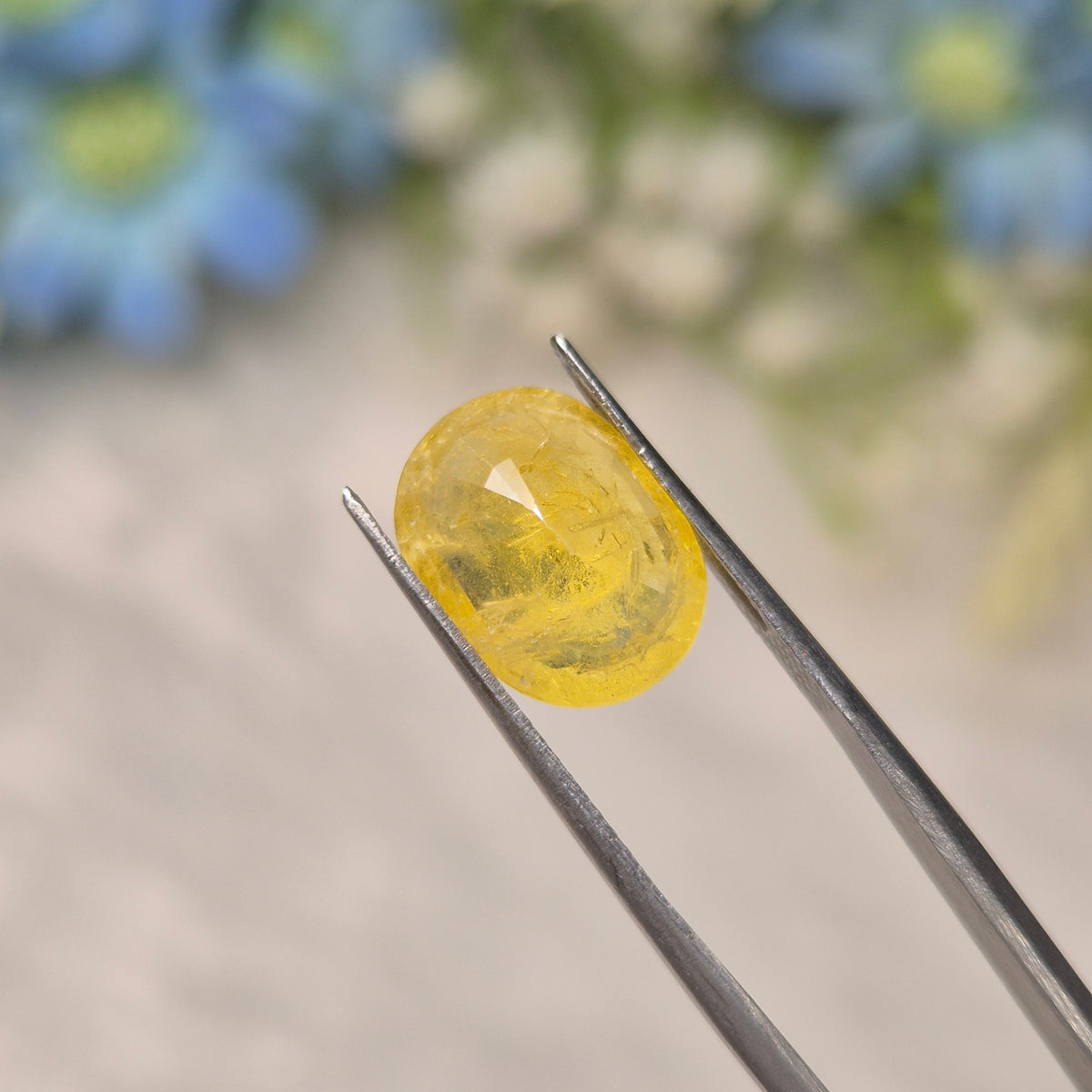 Yellow Sapphire | YS 322 | 5.49 Carat