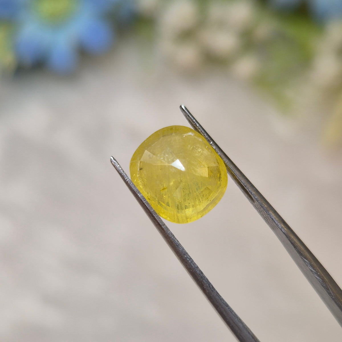 Yellow Sapphire | YS 324 | 5.64 Carat