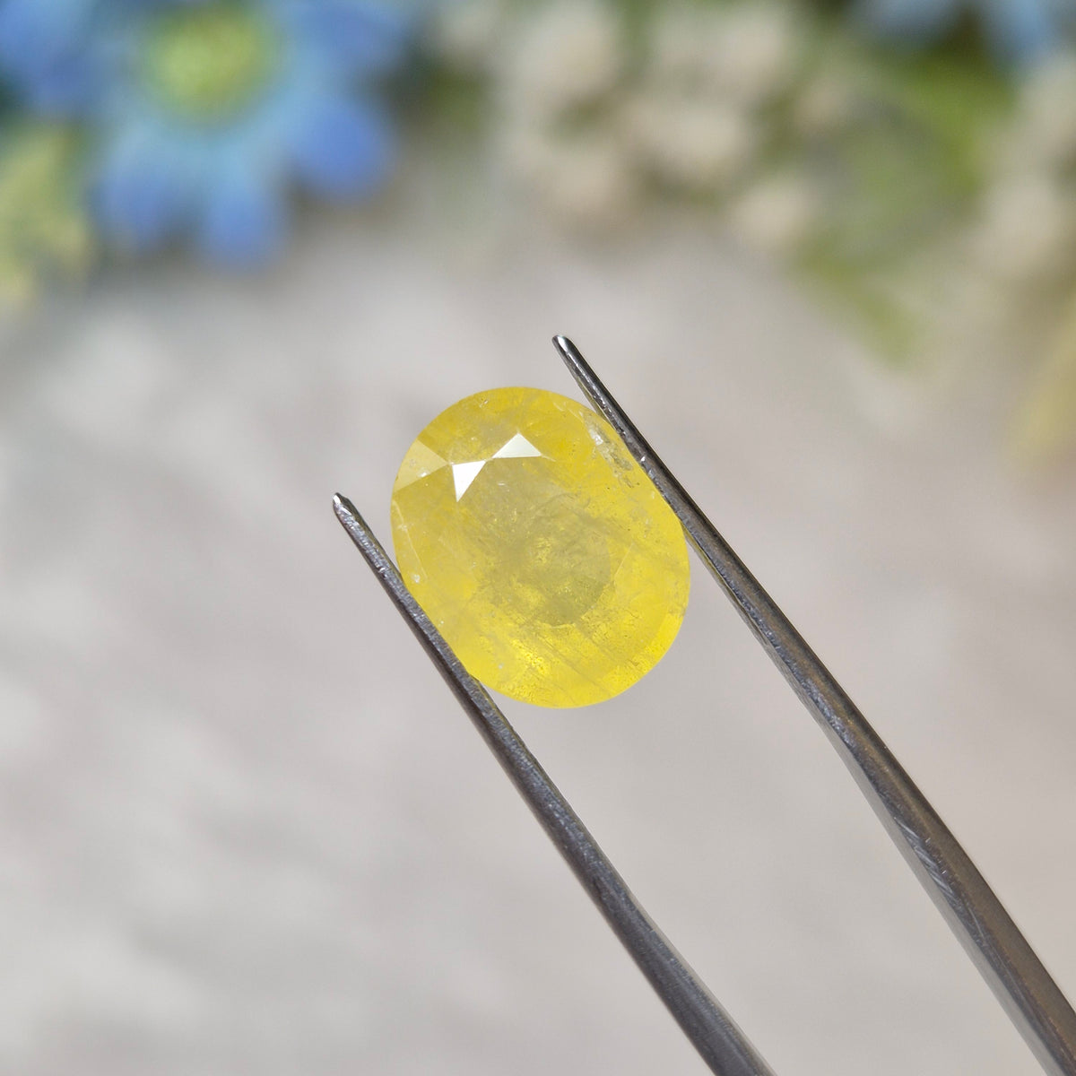 Yellow Sapphire | YS 328 | 5.92 Carat