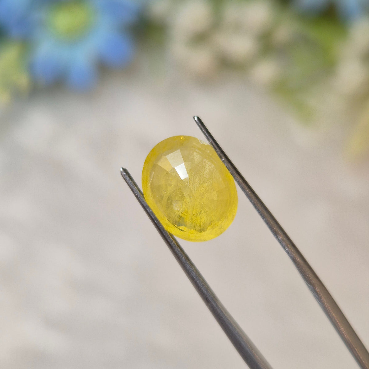 Yellow Sapphire | YS 329 | 5.32 Carat