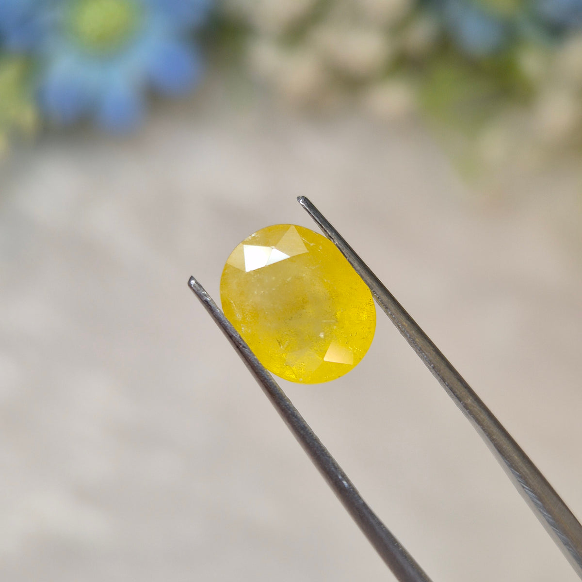 Yellow Sapphire | YS 337 | 4.88 Carat