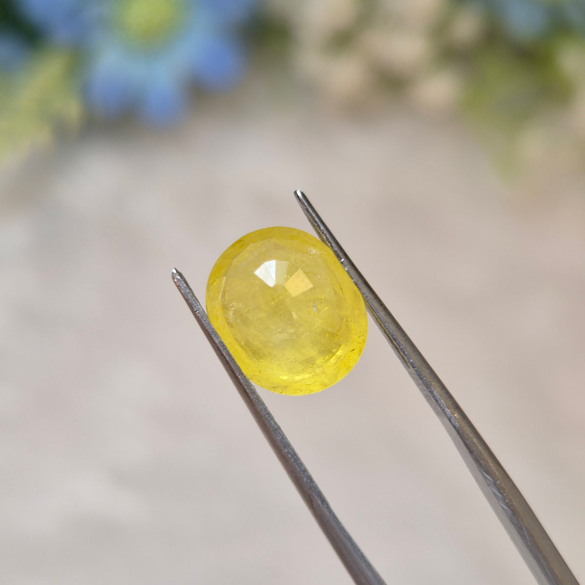 Yellow Sapphire | YS 340 | 4.95 Carat