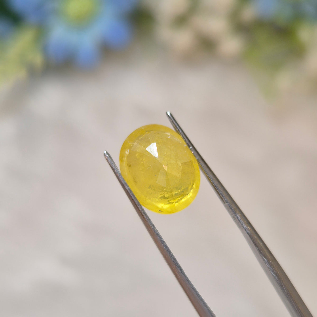 Yellow Sapphire | YS 341 | 5.41 Carat