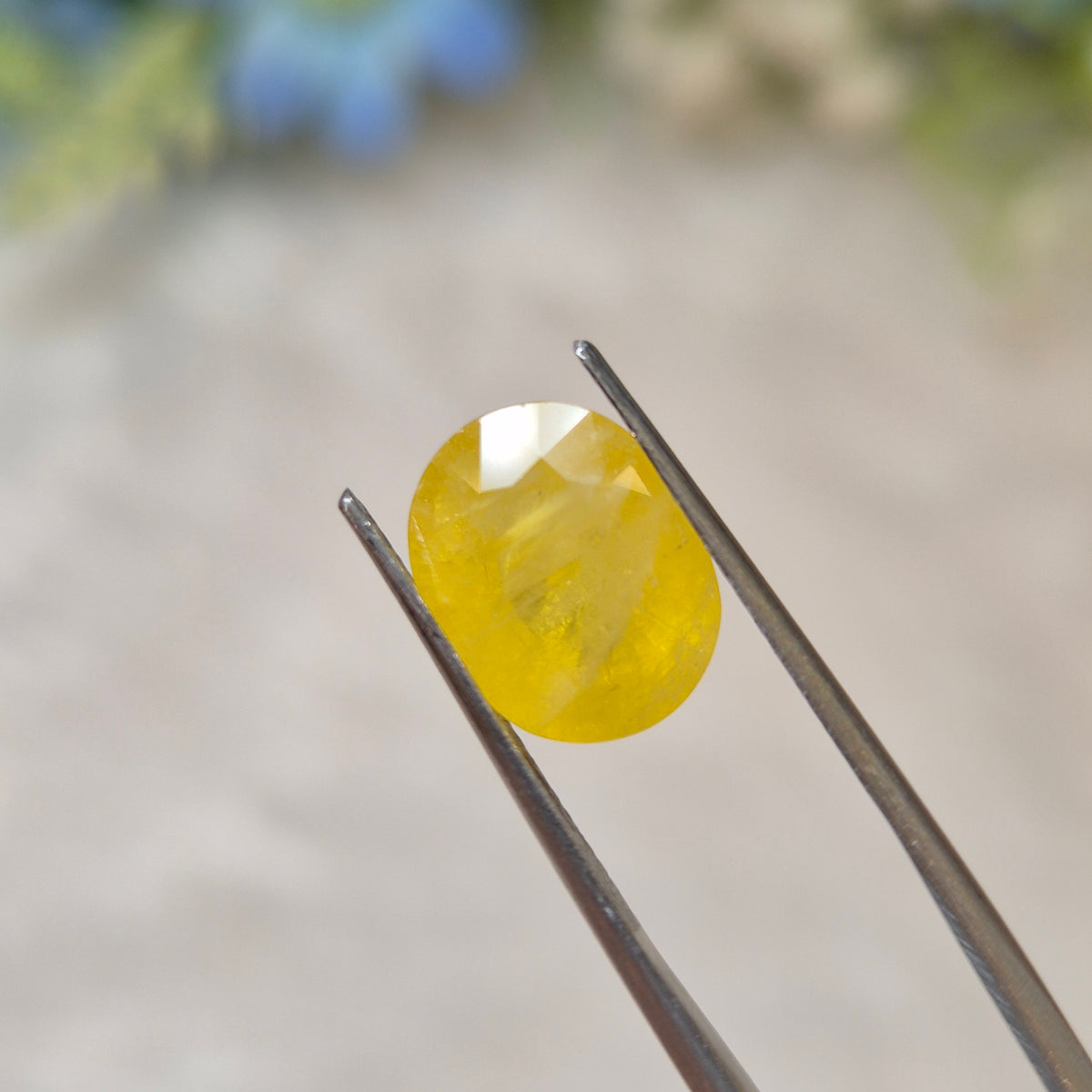 Yellow Sapphire | YS 343 | 5.51 Carat