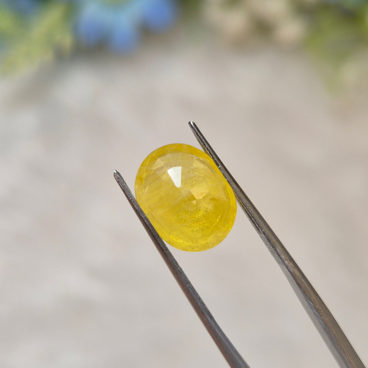 Yellow Sapphire | YS 343 | 5.51 Carat