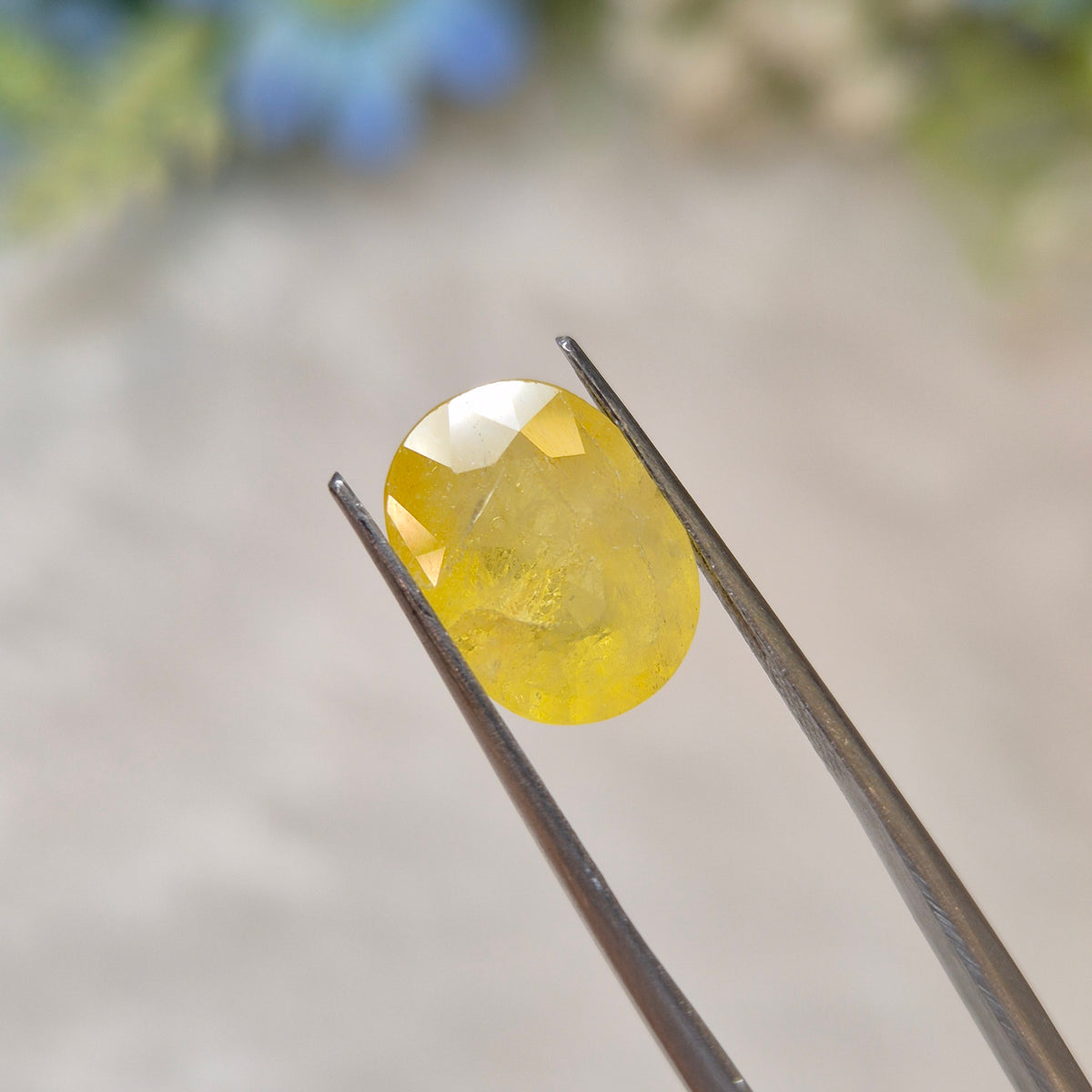 Yellow Sapphire | YS 342 | 4.92 Carat