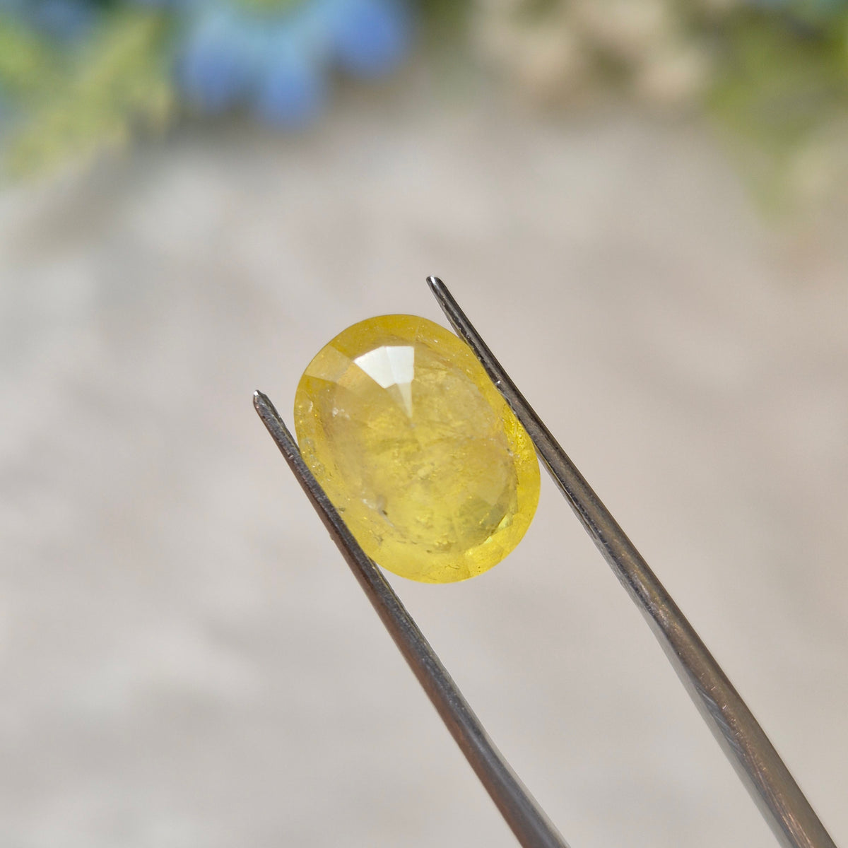 Yellow Sapphire | YS 342 | 4.92 Carat