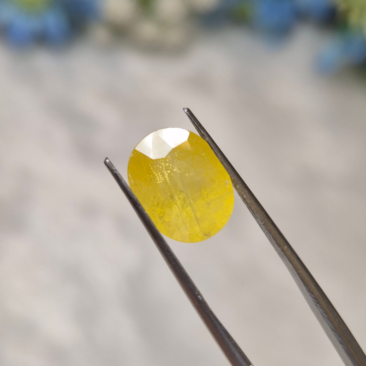 Yellow Sapphire | YS 314 | 5.54 Carat