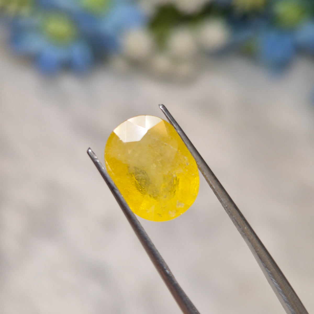Yellow Sapphire | YS 313 | 5.16 Carat