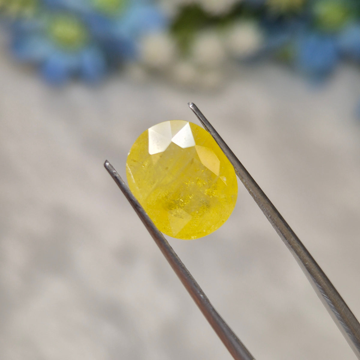 Yellow Sapphire | YS 312 | 5.51 Carat