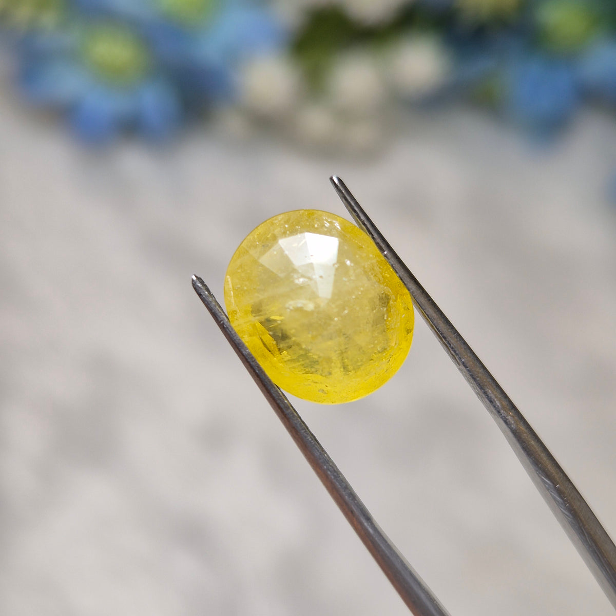 Yellow Sapphire | YS 312 | 5.51 Carat