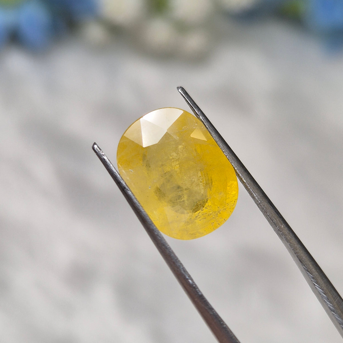 Yellow Sapphire | YS 311 | 6.32 Carat