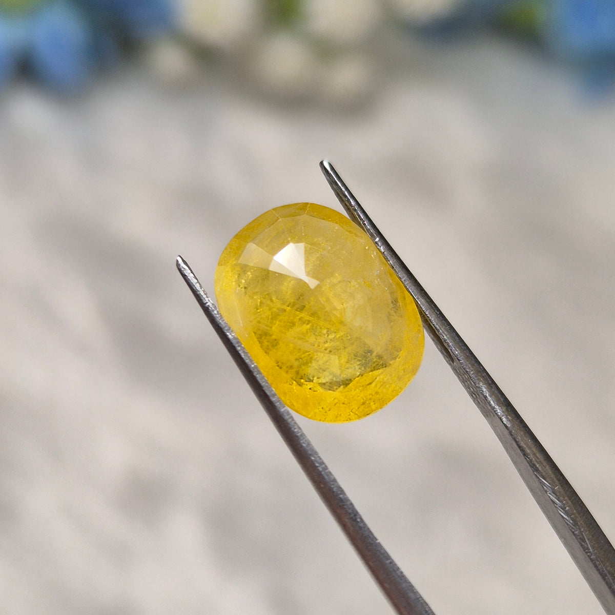 Yellow Sapphire | YS 311 | 6.32 Carat