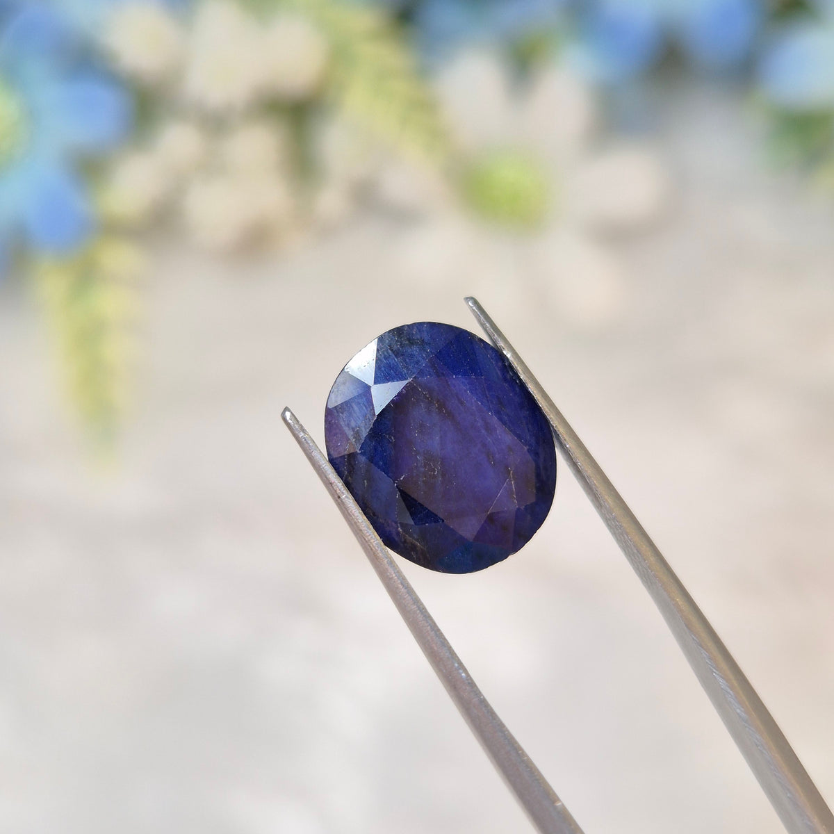 Blue Sapphire | BS 160 | 7.33 Carat