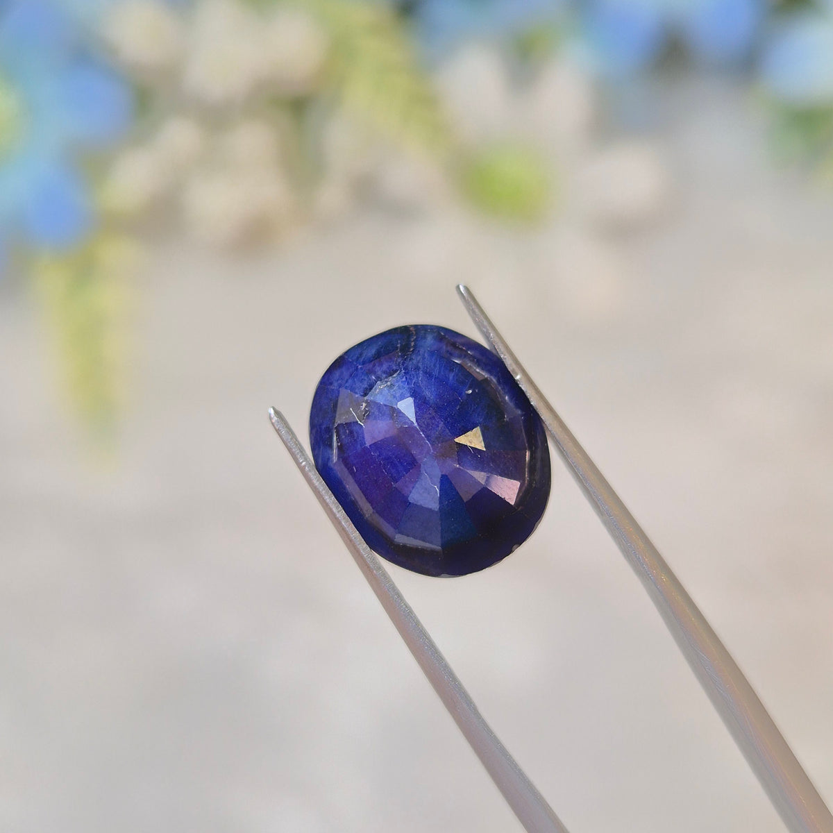 Blue Sapphire | BS 160 | 7.33 Carat