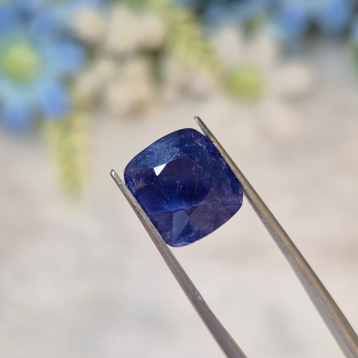 Blue Sapphire | BS 185 | 6.39 Carat